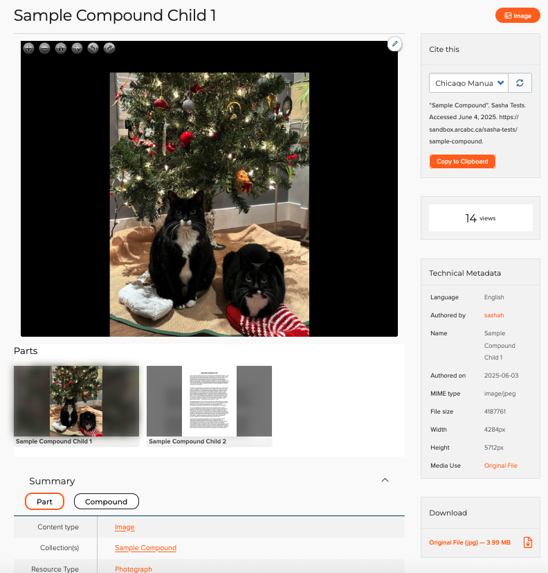 <# An example compound object, featuring an image of two cats, and a document. #>